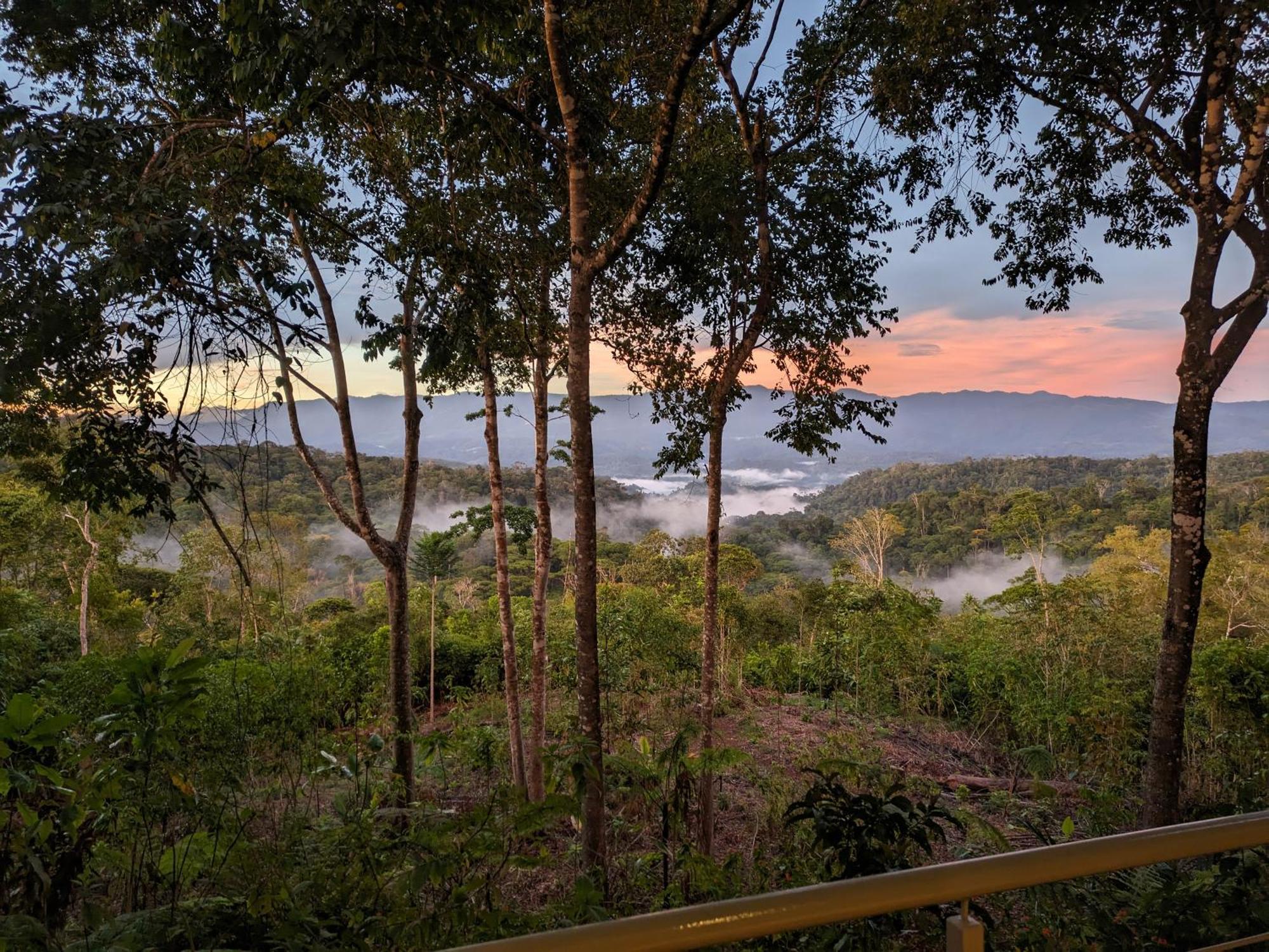 Cielo Lodge Golfito Eksteriør bilde